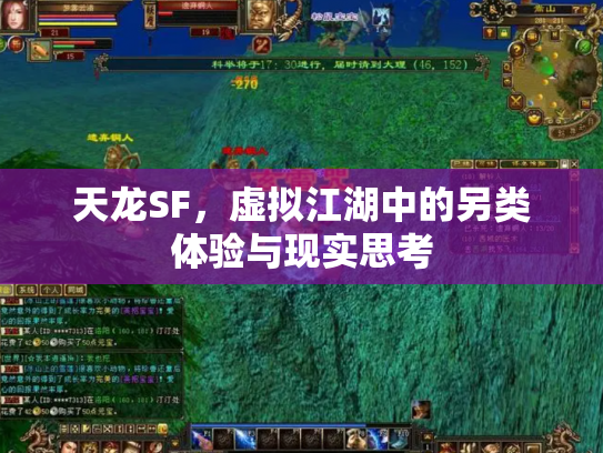 天龙SF，虚拟江湖中的另类体验与现实思考
