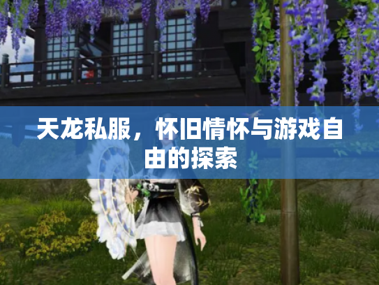 天龙私服，怀旧情怀与游戏自由的探索