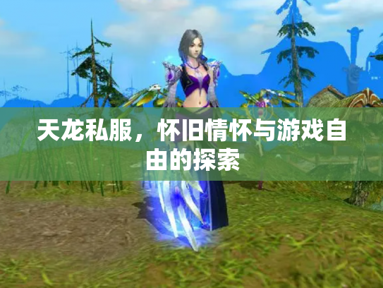 天龙私服，怀旧情怀与游戏自由的探索