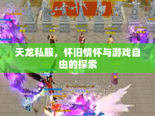 天龙私服，怀旧情怀与游戏自由的探索