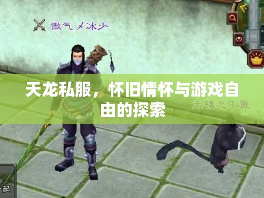 天龙私服，怀旧情怀与游戏自由的探索