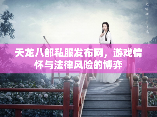 天龙八部私服发布网，游戏情怀与法律风险的博弈