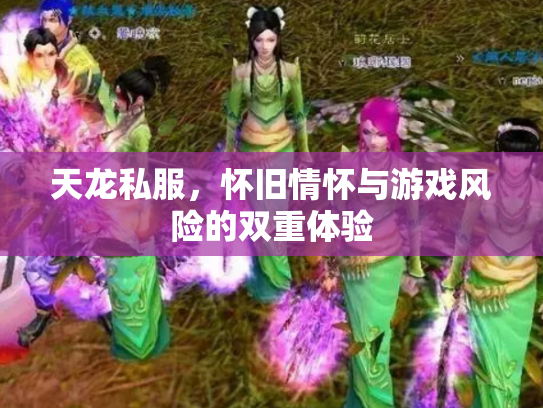 天龙私服，怀旧情怀与游戏风险的双重体验