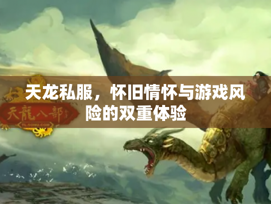 天龙私服，怀旧情怀与游戏风险的双重体验