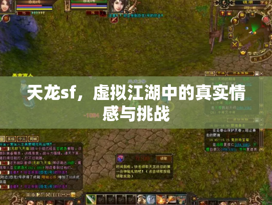 天龙sf，虚拟江湖中的真实情感与挑战