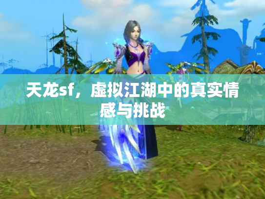天龙sf，虚拟江湖中的真实情感与挑战