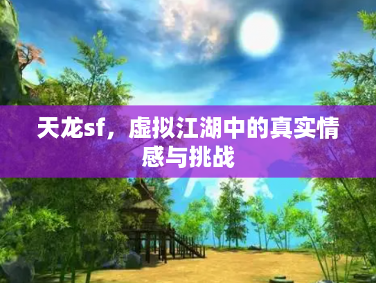 天龙sf，虚拟江湖中的真实情感与挑战