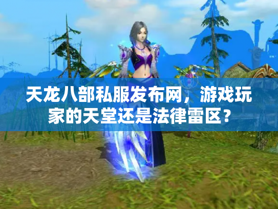 天龙八部私服发布网，游戏玩家的天堂还是法律雷区？