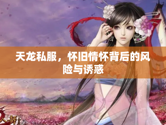 天龙私服，怀旧情怀背后的风险与诱惑