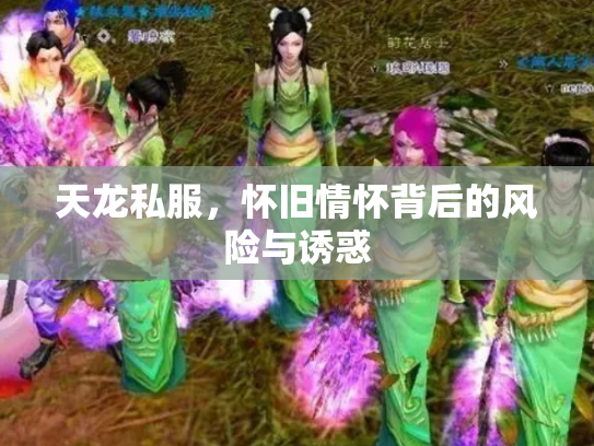 天龙私服，怀旧情怀背后的风险与诱惑