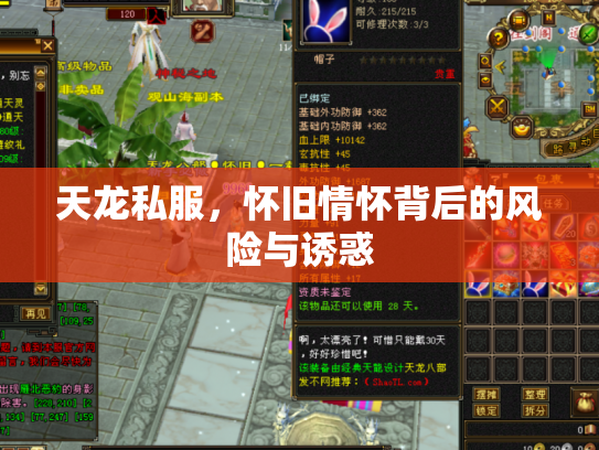 天龙私服，怀旧情怀背后的风险与诱惑