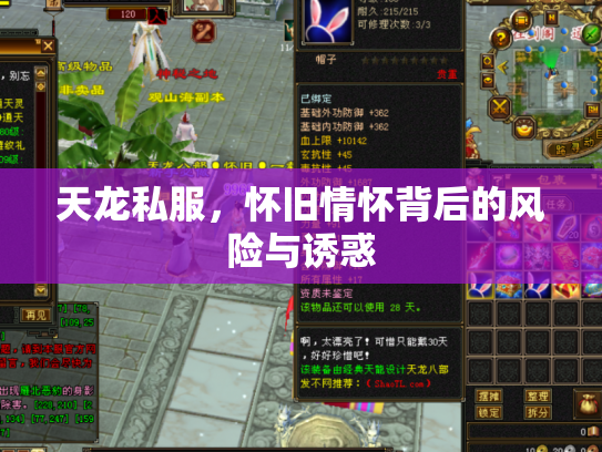 天龙私服，怀旧情怀背后的风险与诱惑