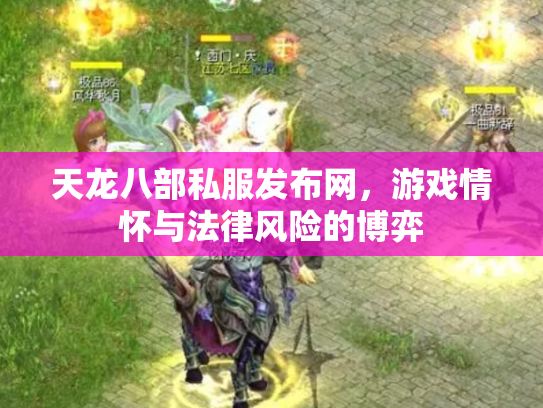 天龙八部私服发布网，游戏情怀与法律风险的博弈