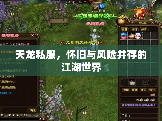 天龙私服，怀旧与风险并存的江湖世界