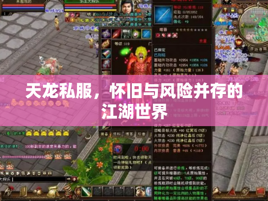 天龙私服，怀旧与风险并存的江湖世界
