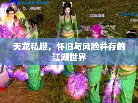 天龙私服，怀旧与风险并存的江湖世界
