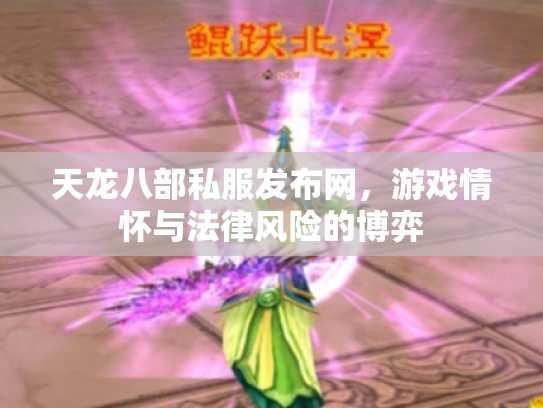 天龙八部私服发布网，游戏情怀与法律风险的博弈