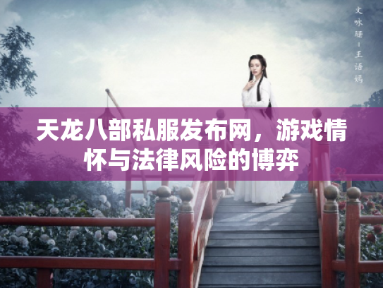 天龙八部私服发布网，游戏情怀与法律风险的博弈
