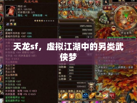 天龙sf，虚拟江湖中的另类武侠梦