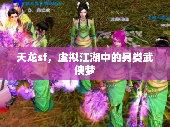 天龙sf，虚拟江湖中的另类武侠梦