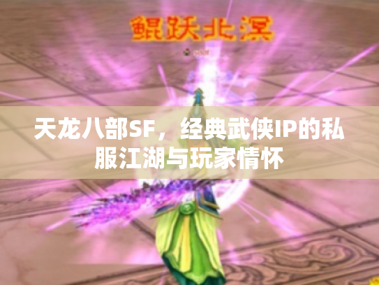 天龙八部SF，经典武侠IP的私服江湖与玩家情怀