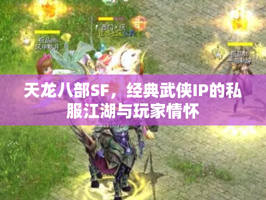 天龙八部SF，经典武侠IP的私服江湖与玩家情怀