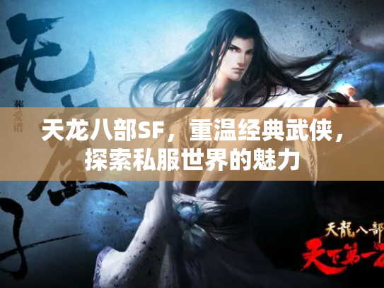 天龙八部SF，重温经典武侠，探索私服世界的魅力