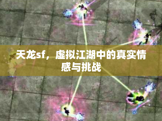 天龙sf，虚拟江湖中的真实情感与挑战