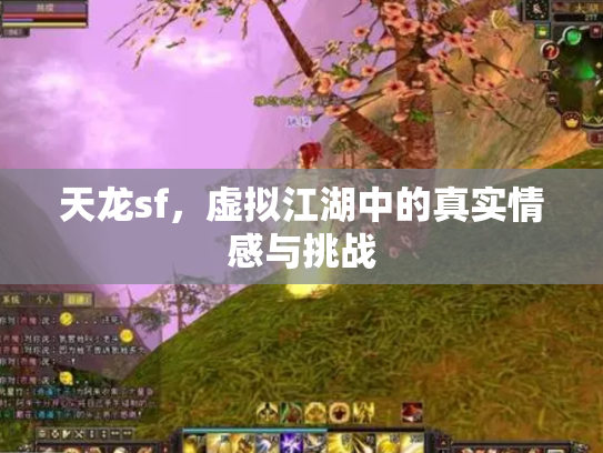 天龙sf，虚拟江湖中的真实情感与挑战