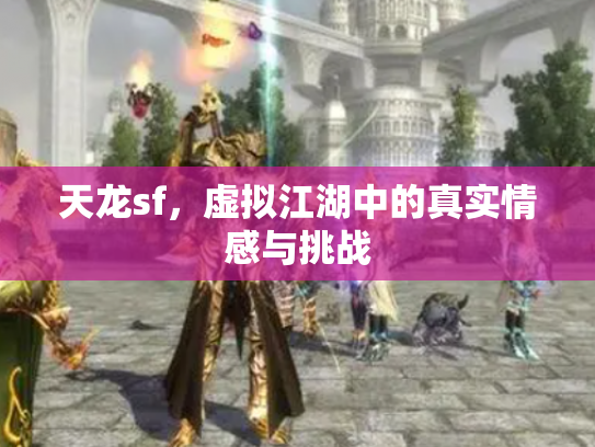 天龙sf，虚拟江湖中的真实情感与挑战