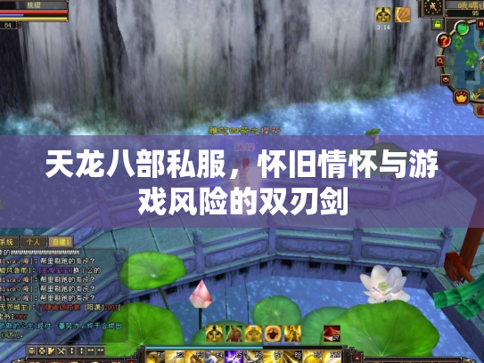 天龙八部私服，怀旧情怀与游戏风险的双刃剑