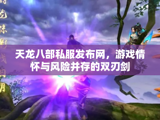 天龙八部私服发布网，游戏情怀与风险并存的双刃剑