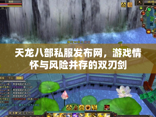 天龙八部私服发布网，游戏情怀与风险并存的双刃剑