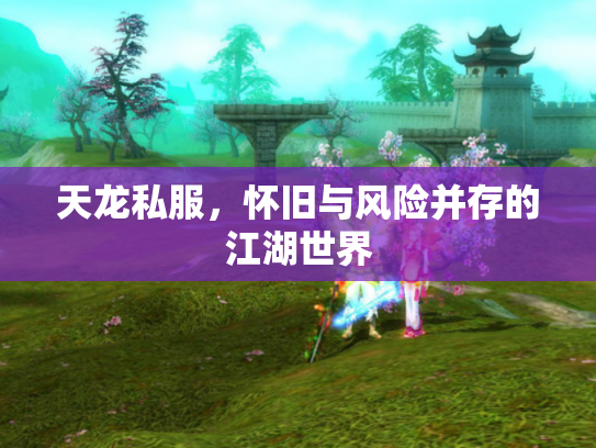 天龙私服，怀旧与风险并存的江湖世界