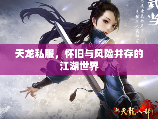 天龙私服，怀旧与风险并存的江湖世界