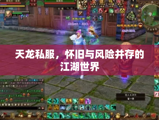 天龙私服，怀旧与风险并存的江湖世界