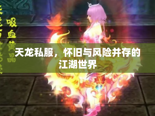 天龙私服，怀旧与风险并存的江湖世界