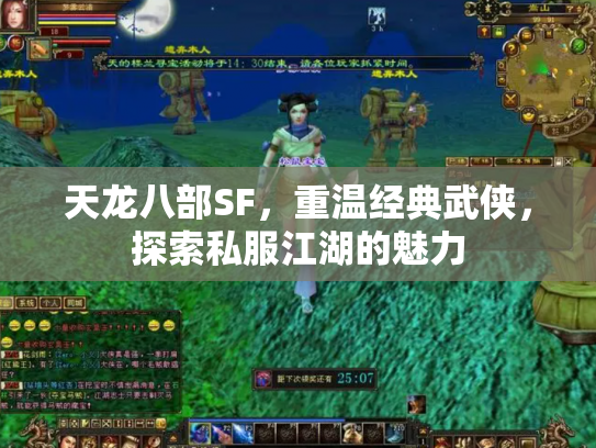 天龙八部SF，重温经典武侠，探索私服江湖的魅力