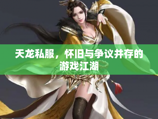 天龙私服，怀旧与争议并存的游戏江湖