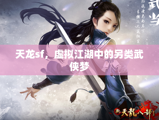 天龙sf，虚拟江湖中的另类武侠梦