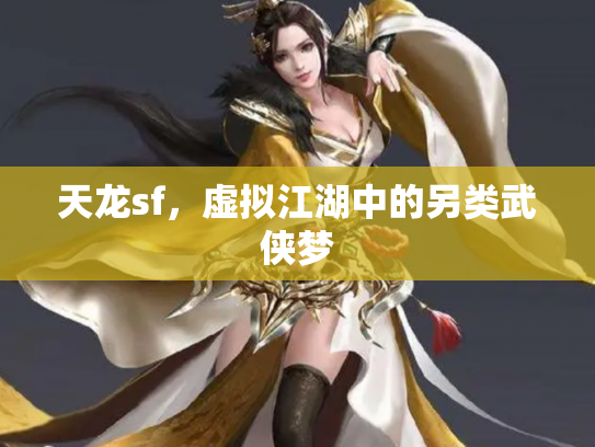 天龙sf，虚拟江湖中的另类武侠梦