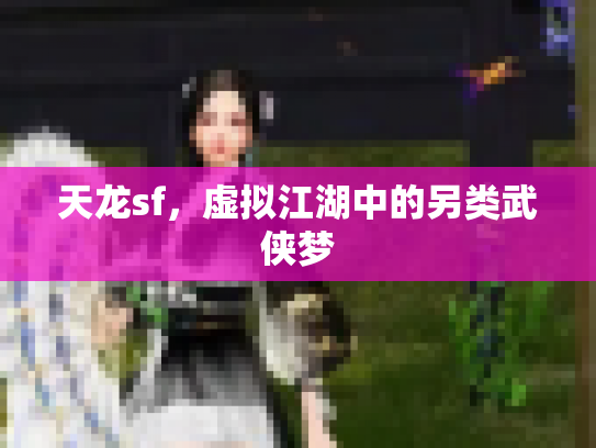 天龙sf，虚拟江湖中的另类武侠梦