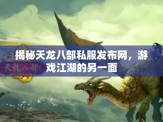 揭秘天龙八部私服发布网，游戏江湖的另一面