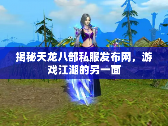 揭秘天龙八部私服发布网，游戏江湖的另一面