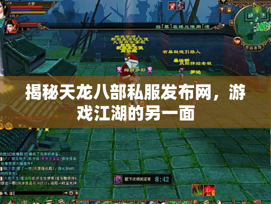 揭秘天龙八部私服发布网，游戏江湖的另一面