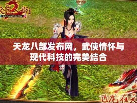 天龙八部发布网，武侠情怀与现代科技的完美结合