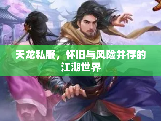天龙私服，怀旧与风险并存的江湖世界
