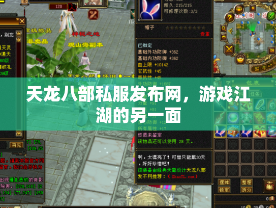 天龙八部私服发布网，游戏江湖的另一面