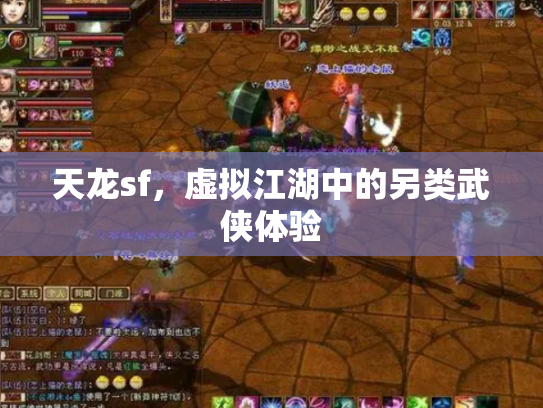 天龙sf，虚拟江湖中的另类武侠体验