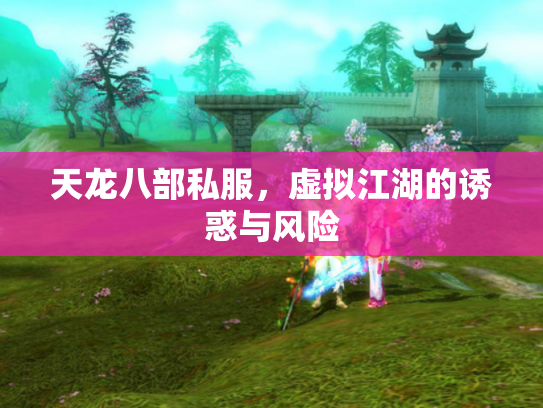 天龙八部私服，虚拟江湖的诱惑与风险